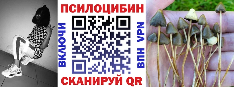 Галлюциногенные грибы прущие грибы  Ливны 